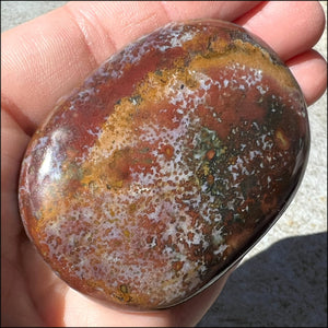 ~Stunning~ Bloodstone + Ocean Jasper Mix Crystal Palm Stone