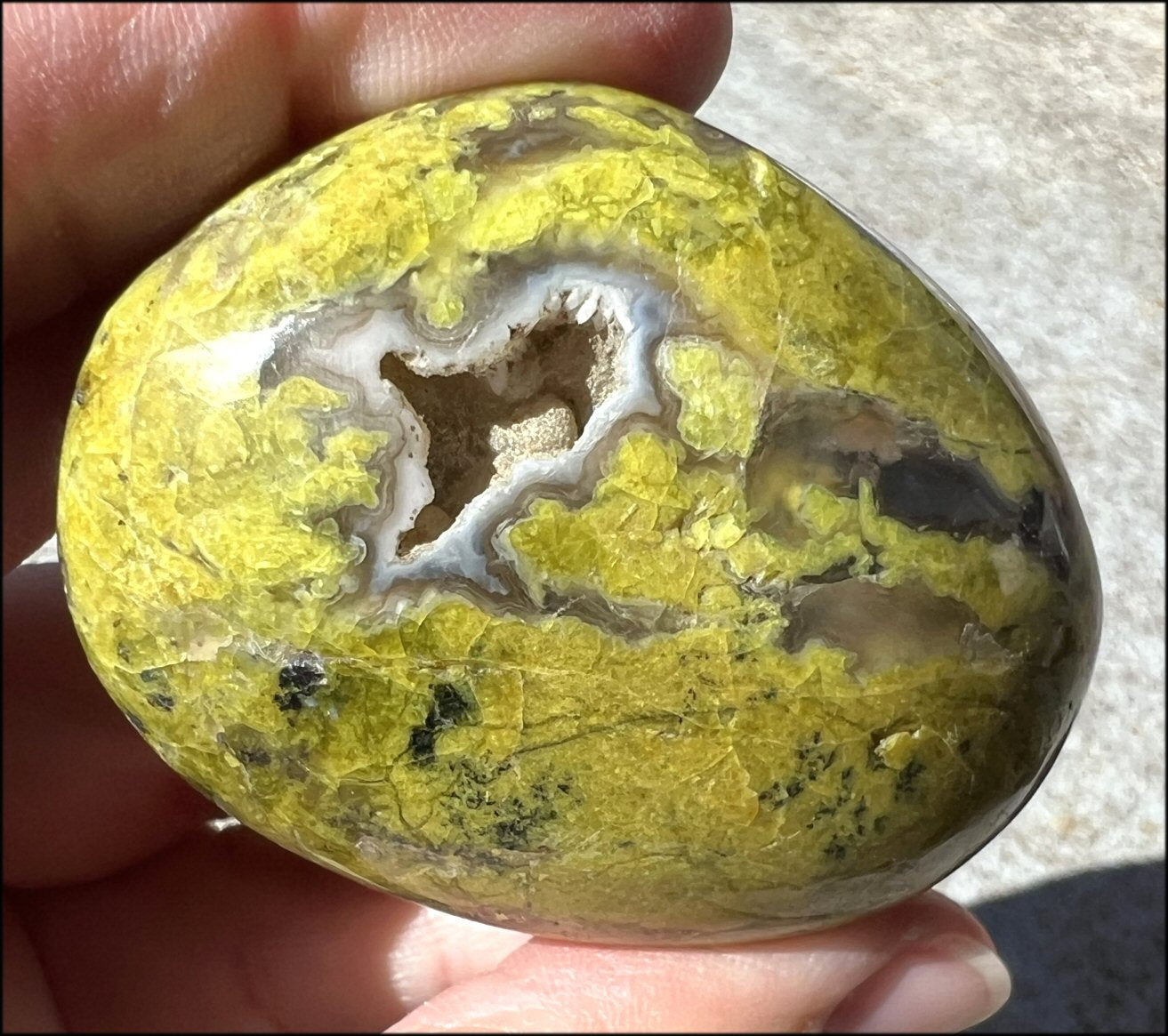 Madagascar Dark GREEN OPAL + CHALCEDONY Palm Stone with Awesome VUGS!