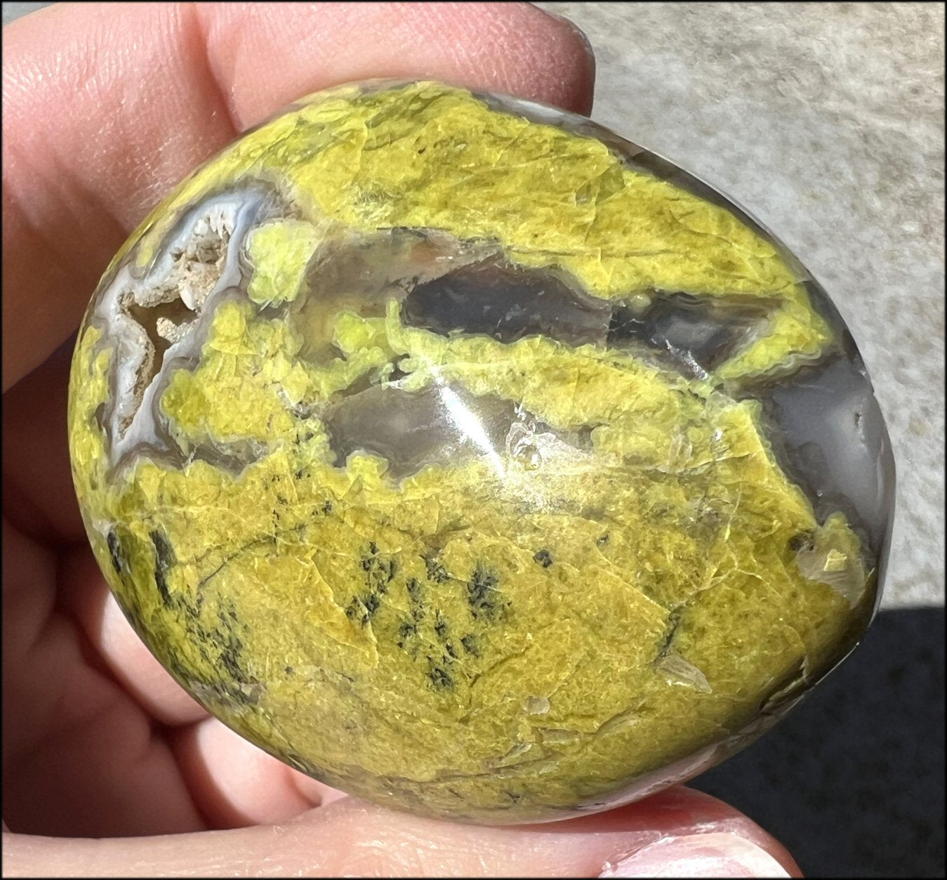 Madagascar Dark GREEN OPAL + CHALCEDONY Palm Stone with Awesome VUGS!