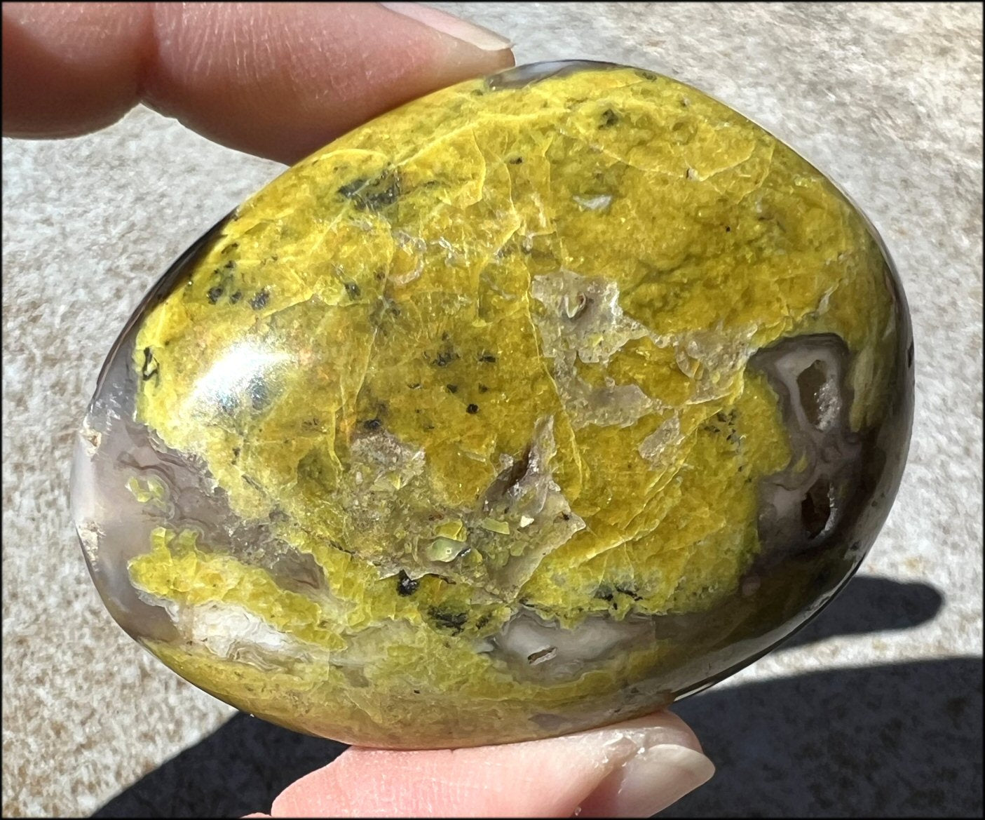 Madagascar Dark GREEN OPAL + CHALCEDONY Palm Stone with Awesome VUGS!