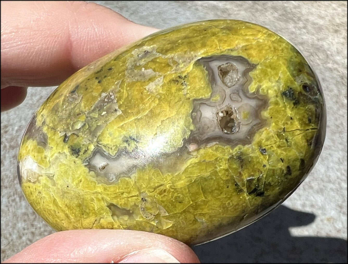 Madagascar Dark GREEN OPAL + CHALCEDONY Palm Stone with Awesome VUGS!