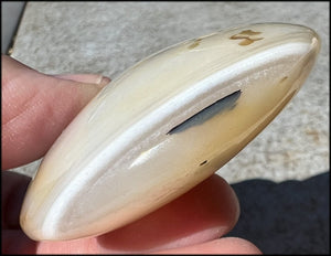 Madagascar Dendritic Agate Palm Stone w/ Bi-Colored Dendrites