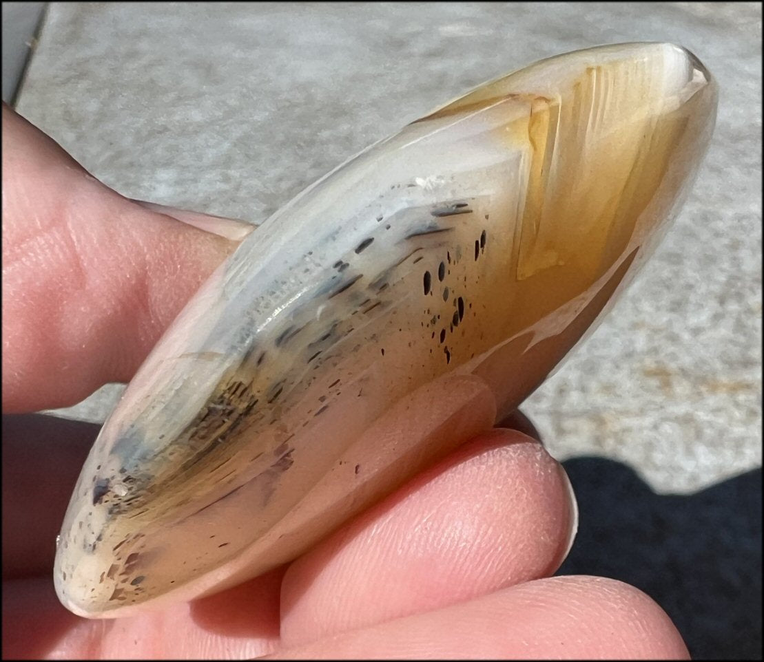 Madagascar Dendritic Agate Palm Stone w/ Bi-Colored Dendrites