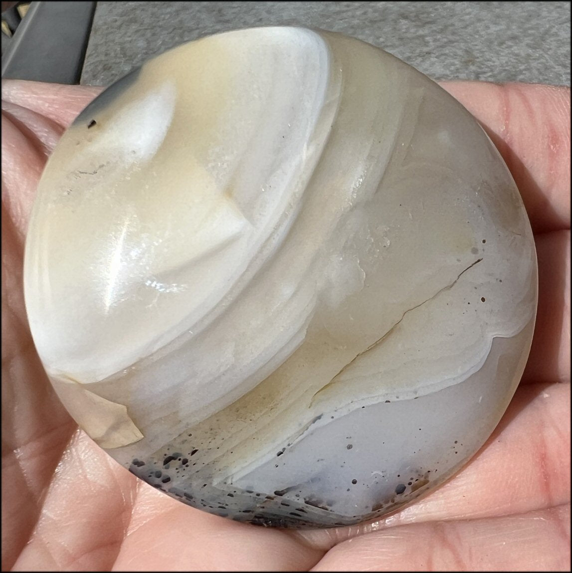 Madagascar Dendritic Agate Palm Stone w/ Bi-Colored Dendrites