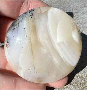 Madagascar Dendritic Agate Palm Stone w/ Bi-Colored Dendrites