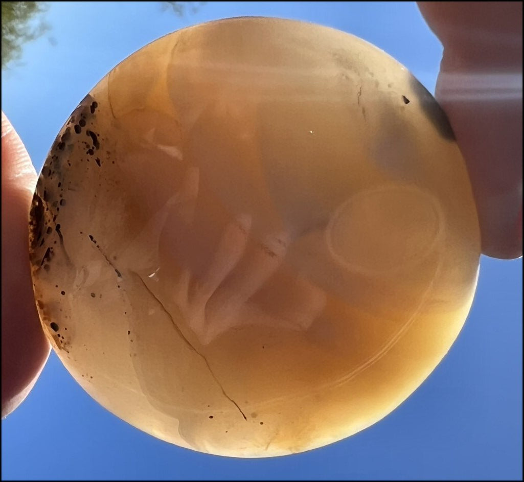 Madagascar Dendritic Agate Palm Stone w/ Bi-Colored Dendrites