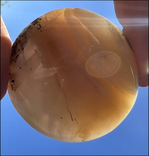 Madagascar Dendritic Agate Palm Stone w/ Bi-Colored Dendrites