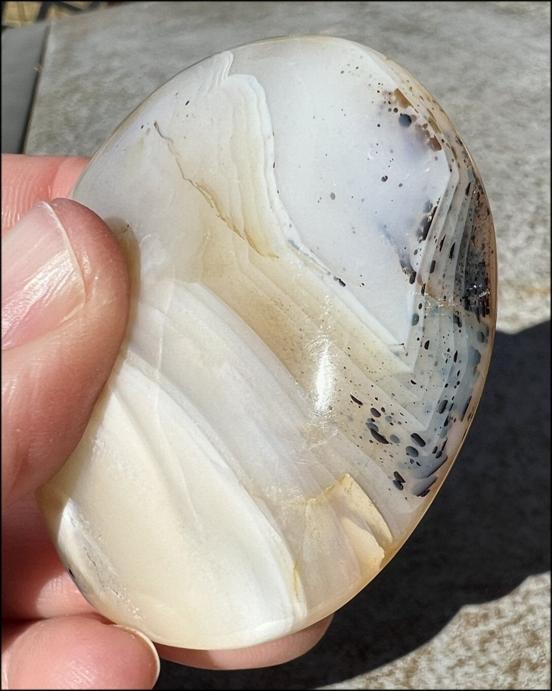 Madagascar Dendritic Agate Palm Stone w/ Bi-Colored Dendrites