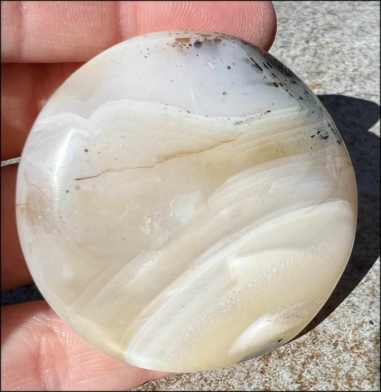 Madagascar Dendritic Agate Palm Stone w/ Bi-Colored Dendrites