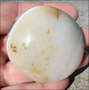 Madagascar Dendritic Agate Palm Stone w/ Bi-Colored Dendrites