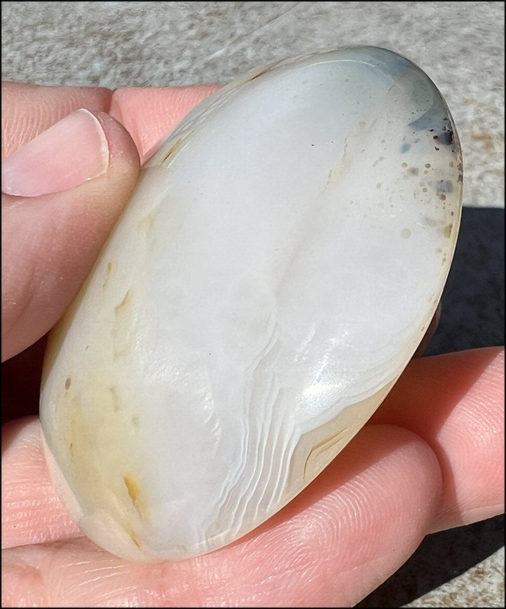 Madagascar Dendritic Agate Palm Stone w/ Bi-Colored Dendrites