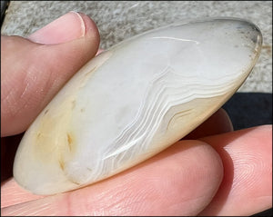 Madagascar Dendritic Agate Palm Stone w/ Bi-Colored Dendrites