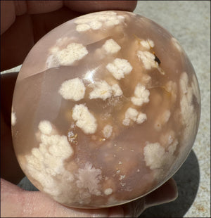 Cherry Blossom Agate AKA Flower Agate Crystal Palm Stone - Gratitude, Calm