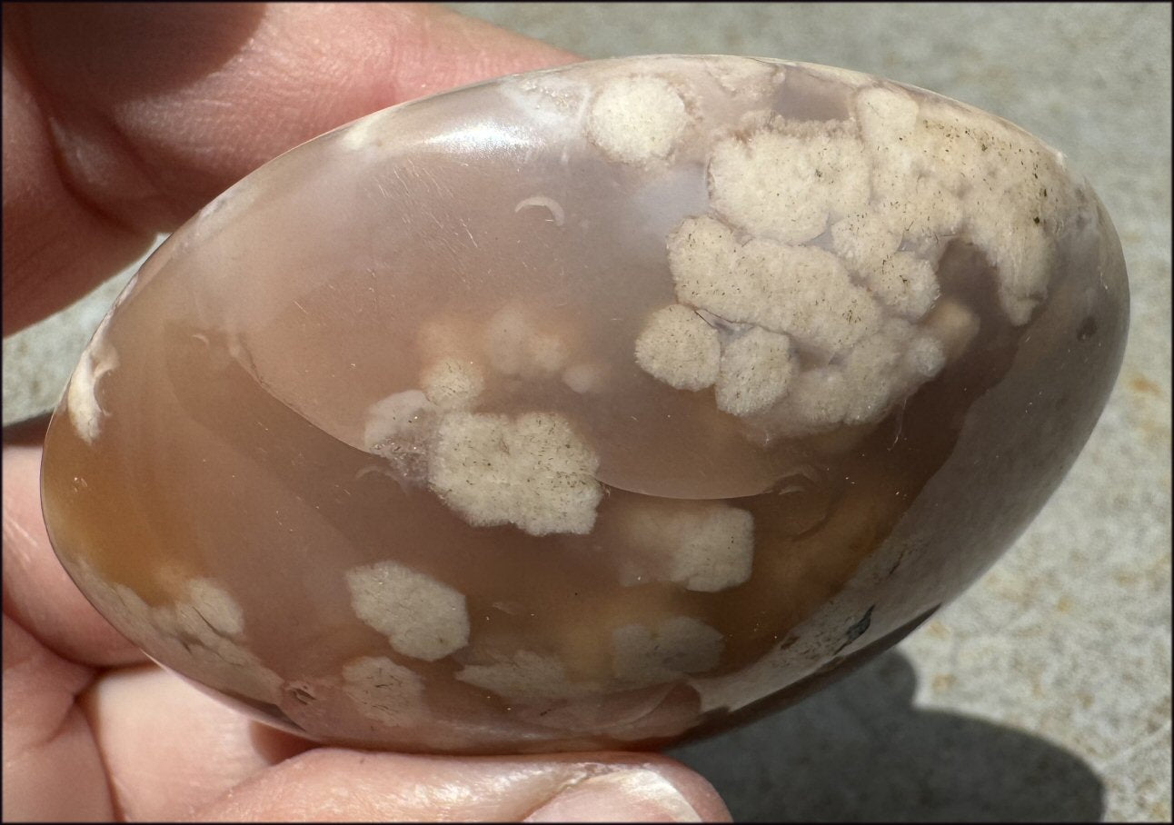 Cherry Blossom Agate AKA Flower Agate Crystal Palm Stone - Gratitude, Calm