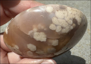 Cherry Blossom Agate AKA Flower Agate Crystal Palm Stone - Gratitude, Calm