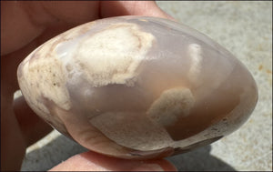 Cherry Blossom Agate AKA Flower Agate Crystal Palm Stone - Gratitude, Calm