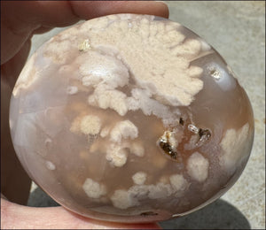 Cherry Blossom Agate AKA Flower Agate Crystal Palm Stone - Gratitude, Calm
