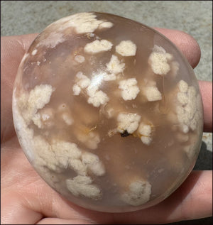 Cherry Blossom Agate AKA Flower Agate Crystal Palm Stone - Gratitude, Calm