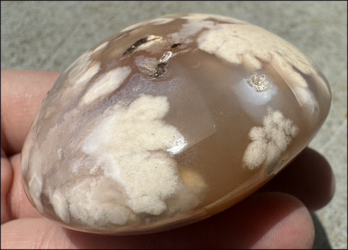 Cherry Blossom Agate AKA Flower Agate Crystal Palm Stone - Gratitude, Calm