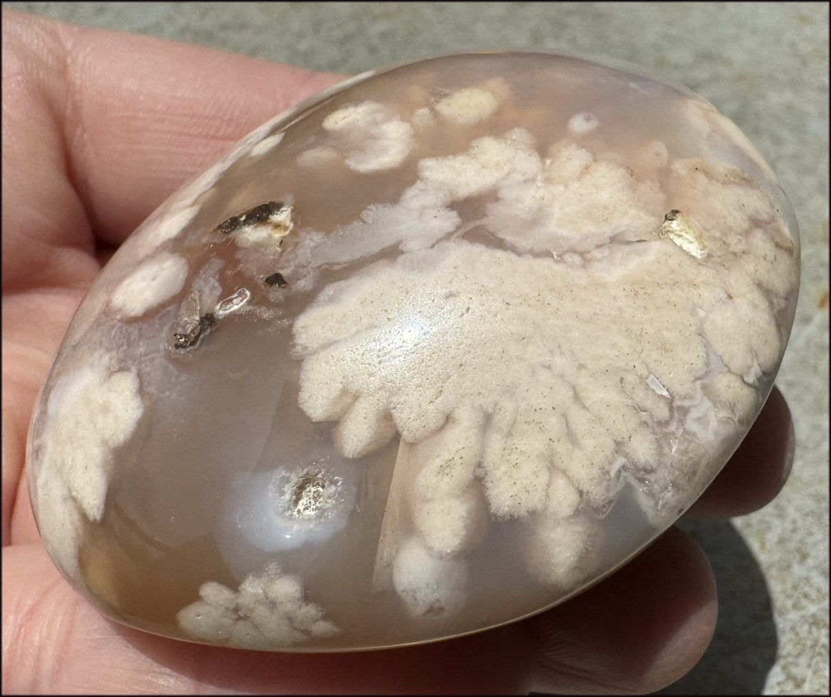 Cherry Blossom Agate AKA Flower Agate Crystal Palm Stone - Gratitude, Calm