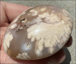 Cherry Blossom Agate AKA Flower Agate Crystal Palm Stone - Gratitude, Calm