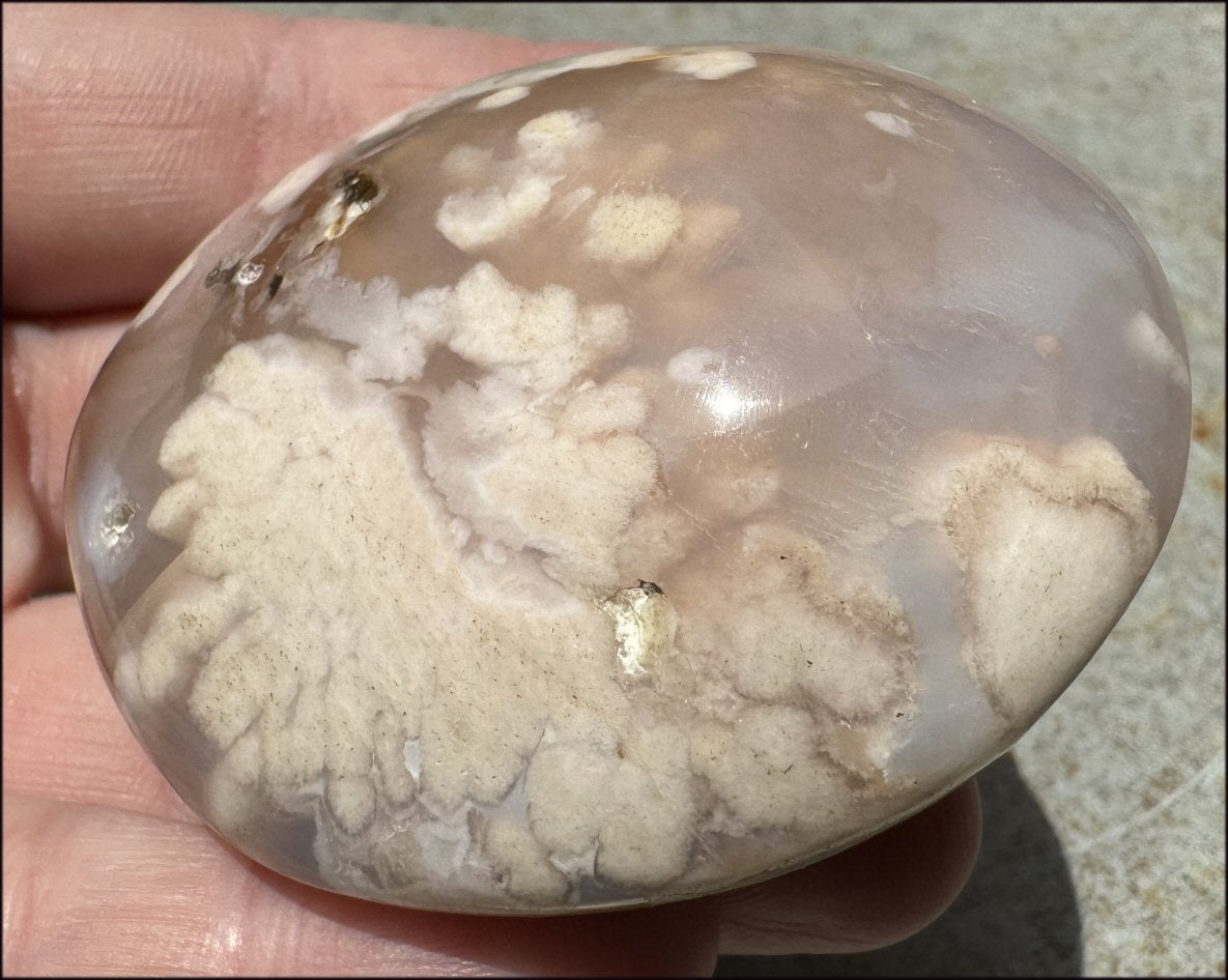 Cherry Blossom Agate AKA Flower Agate Crystal Palm Stone - Gratitude, Calm