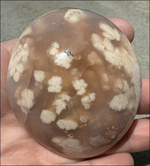 Cherry Blossom Agate AKA Flower Agate Crystal Palm Stone - Gratitude, Calm