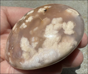 Cherry Blossom Agate AKA Flower Agate Crystal Palm Stone - Gratitude, Calm