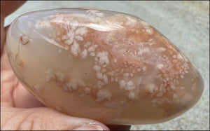 Cherry Blossom Agate AKA Flower Agate Crystal Palm Stone with Big VUG