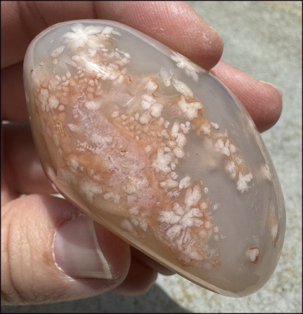 Cherry Blossom Agate AKA Flower Agate Crystal Palm Stone with Big VUG