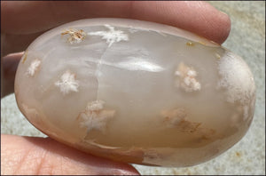 Cherry Blossom Agate AKA Flower Agate Crystal Palm Stone with Big VUG