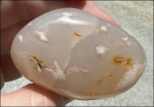 Cherry Blossom Agate AKA Flower Agate Crystal Palm Stone with Big VUG