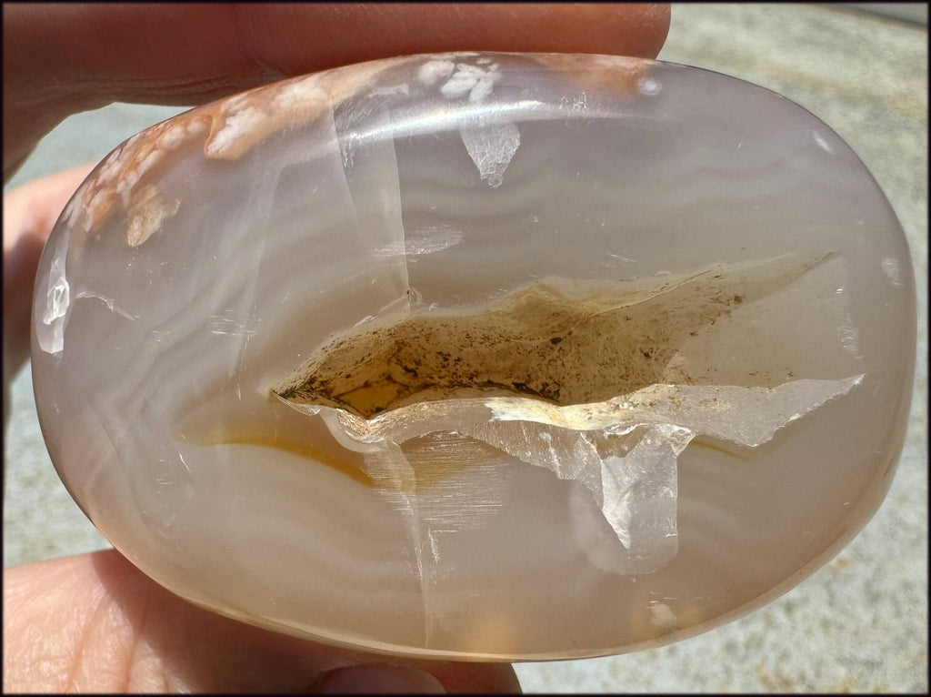 Cherry Blossom Agate AKA Flower Agate Crystal Palm Stone with Big VUG