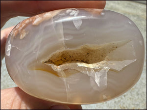 Cherry Blossom Agate AKA Flower Agate Crystal Palm Stone with Big VUG