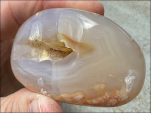 Cherry Blossom Agate AKA Flower Agate Crystal Palm Stone with Big VUG