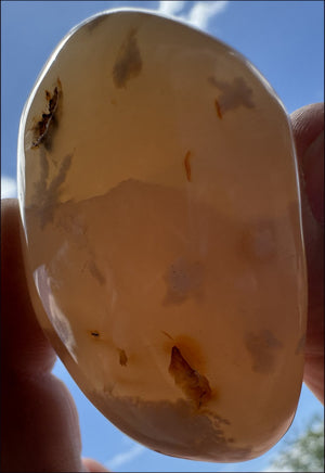 Cherry Blossom Agate AKA Flower Agate Crystal Palm Stone with Big VUG