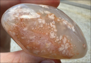 Cherry Blossom Agate AKA Flower Agate Crystal Palm Stone with Big VUG
