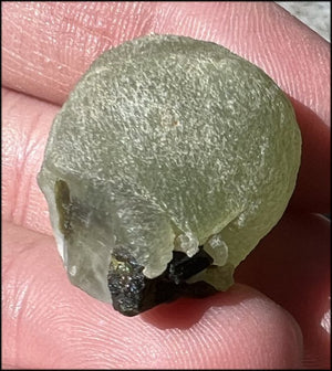 70ct PREHNITE "Berry" Specimen with Epidote Inclusions - Protection, Concentration