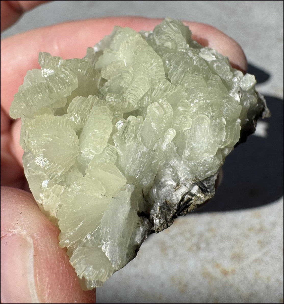 170ct PREHNITE with Epidote Specimen - Heart Chakra, Work thru Emotional Pain
