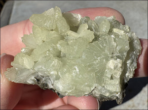 170ct PREHNITE with Epidote Specimen - Heart Chakra, Work thru Emotional Pain