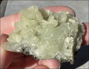 170ct PREHNITE with Epidote Specimen - Heart Chakra, Work thru Emotional Pain