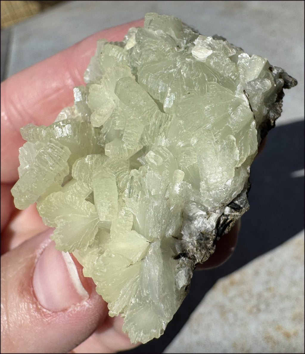 170ct PREHNITE with Epidote Specimen - Heart Chakra, Work thru Emotional Pain