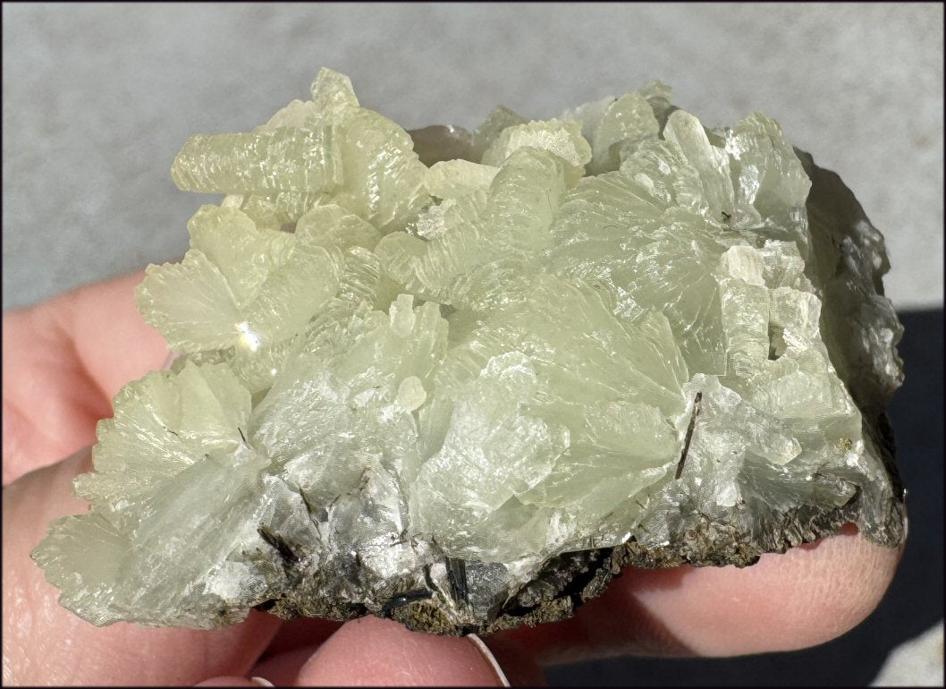 170ct PREHNITE with Epidote Specimen - Heart Chakra, Work thru Emotional Pain