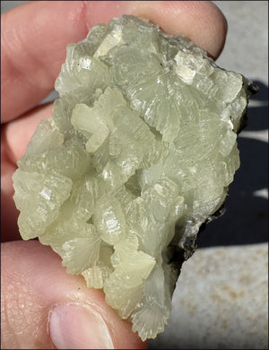 170ct PREHNITE with Epidote Specimen - Heart Chakra, Work thru Emotional Pain