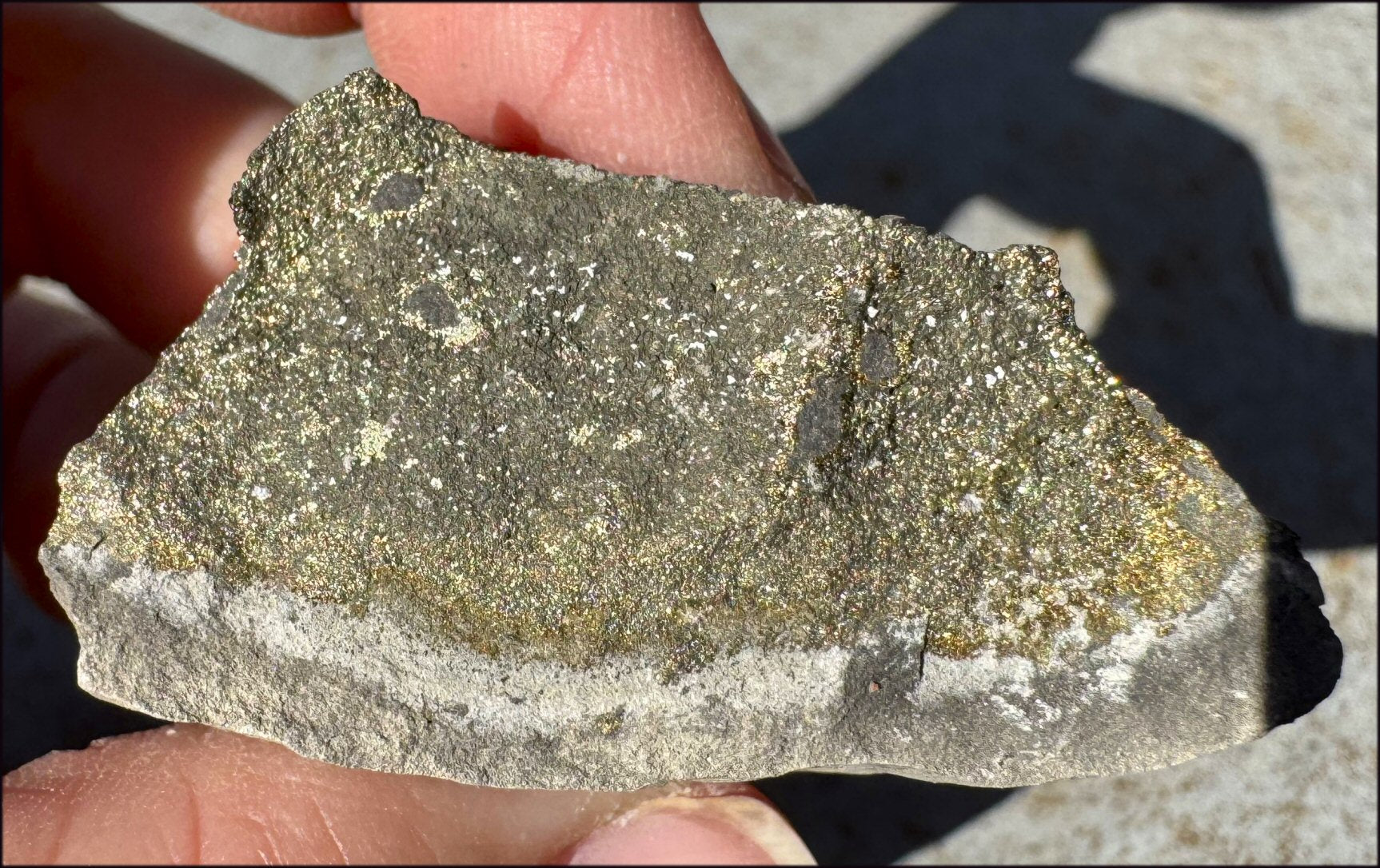 Druzy Pyrite on Septaria from Volga River - Protection, Stability