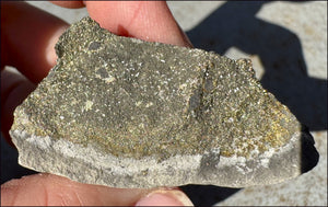 Druzy Pyrite on Septaria from Volga River - Protection, Stability