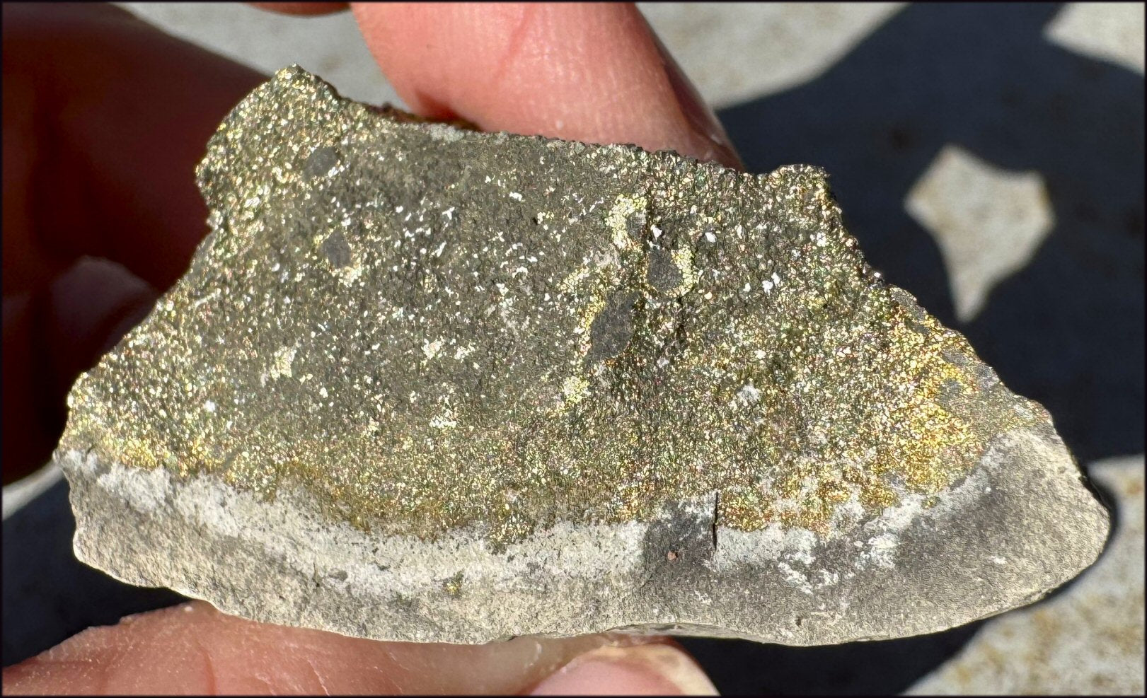 Druzy Pyrite on Septaria from Volga River - Protection, Stability