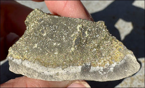Druzy Pyrite on Septaria from Volga River - Protection, Stability