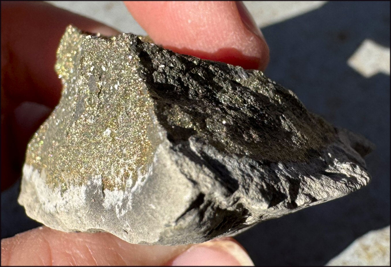Druzy Pyrite on Septaria from Volga River - Protection, Stability