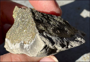 Druzy Pyrite on Septaria from Volga River - Protection, Stability